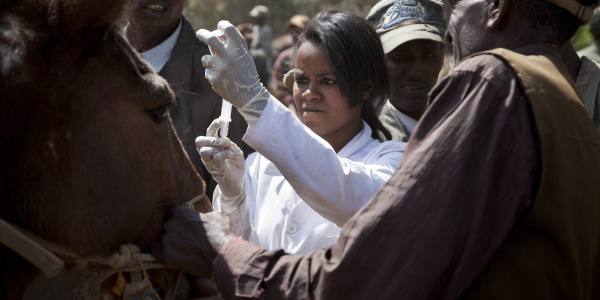 De-worming treatment in Ethiopia