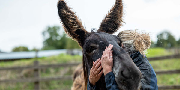 A donkey and staff member enjoying a warm embrace at The Donkey Sanctuary Sidmouth