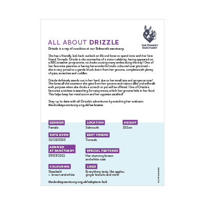 Drizzle - back sheet