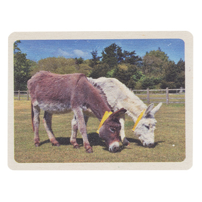 D24057 Grazing donkeys wooden magnet