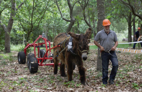 Safer harness project, logging test
