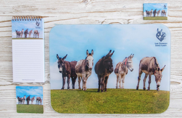 Five Donkeys - Collection