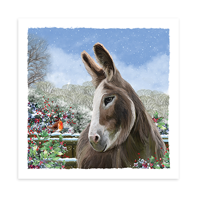 Poppy&#039;s Christmas Visitor Christmas Cards, Pack of 10