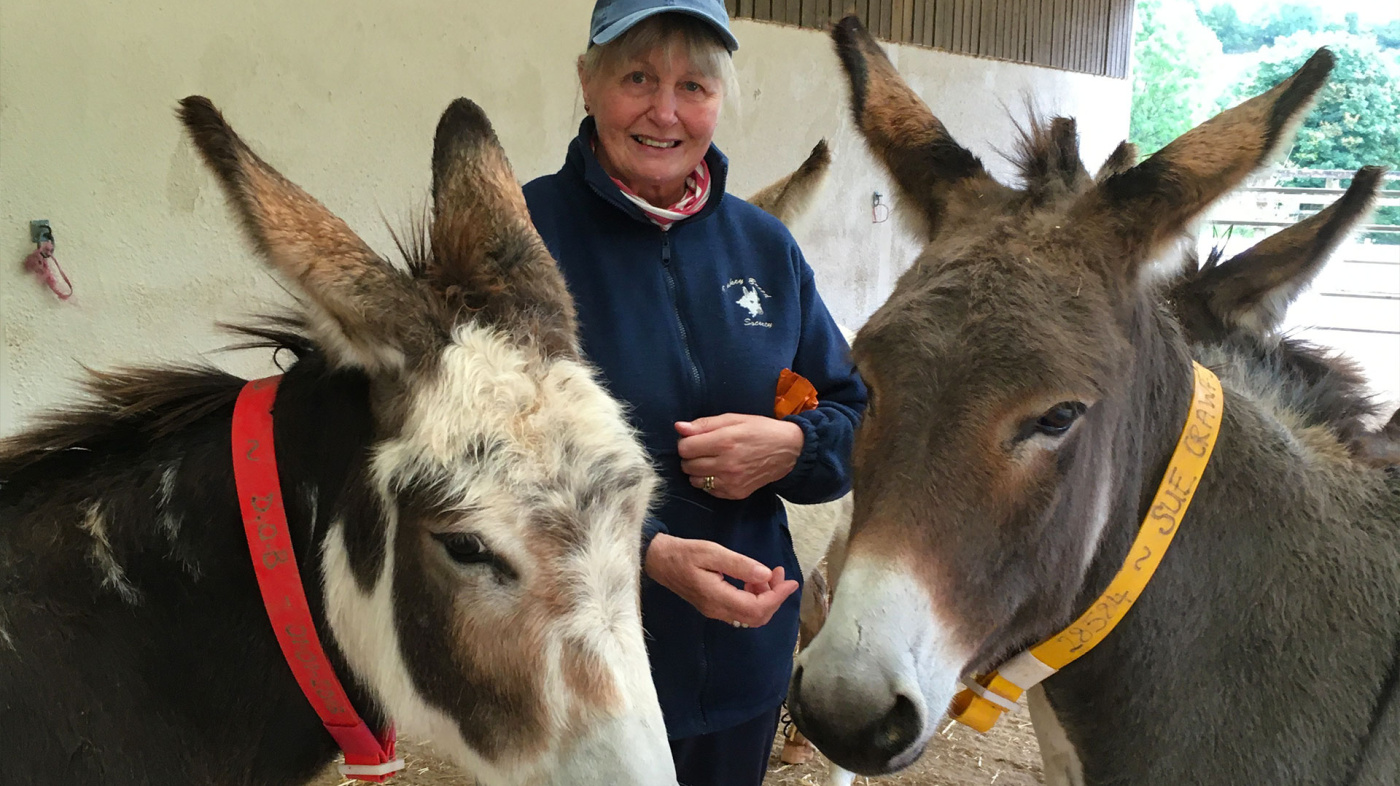 Anne Crawford with her donkeys.