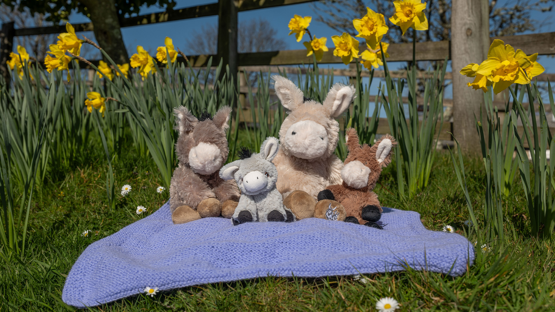 Sustainable Soft Toys