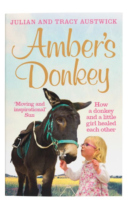 784 Amber's donkey book 784 Amber's donkey book