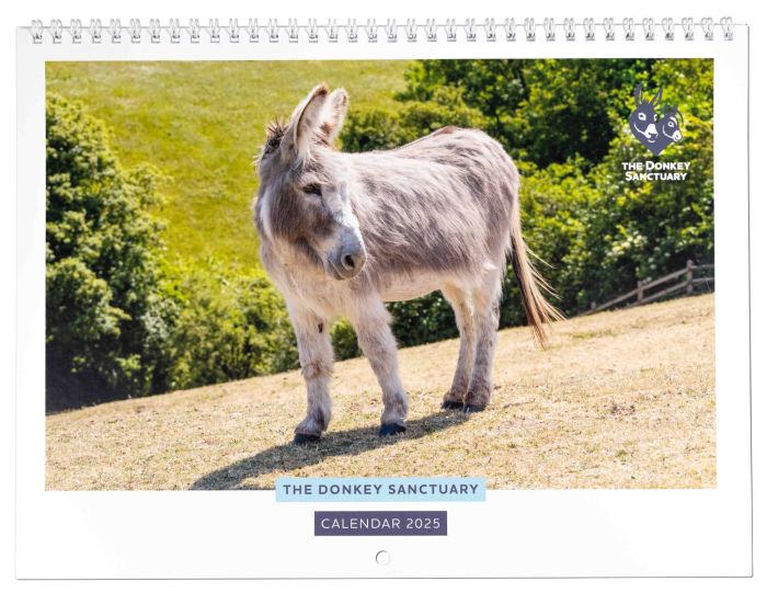 2025 Donkey Sanctuary Wall Calendar The Donkey Sanctuary Shop