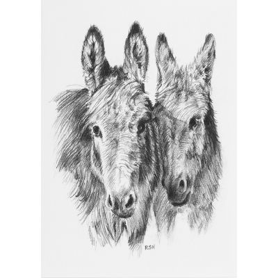 Donkey Notelet Pack