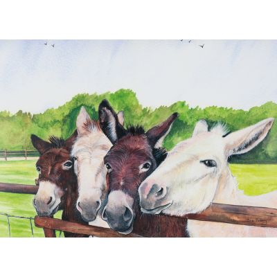 D19184 Four curious donkeys greeting card