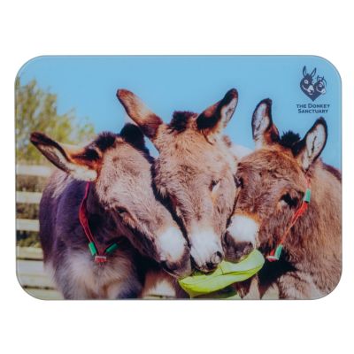 The Three Amigos Glass Worktop Saver
