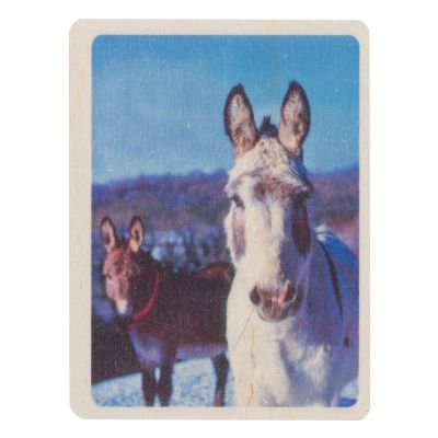 Norman in the Snow Wooden Magnet