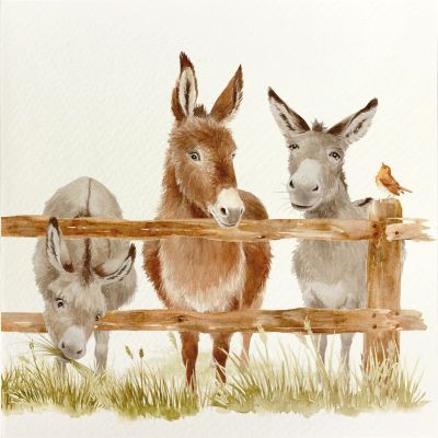 Greeting Card - The Donkey Line Up 