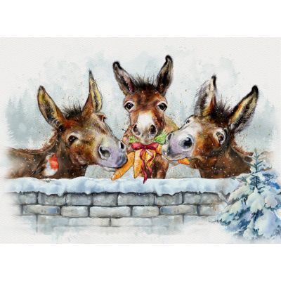 Robin and the Hungry Trio Christmas Cards, Pack of 10
