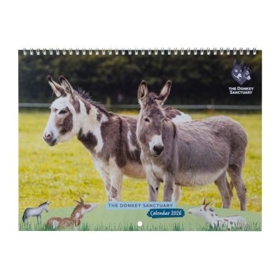 2026 Donkey Sanctuary Wall Calendar