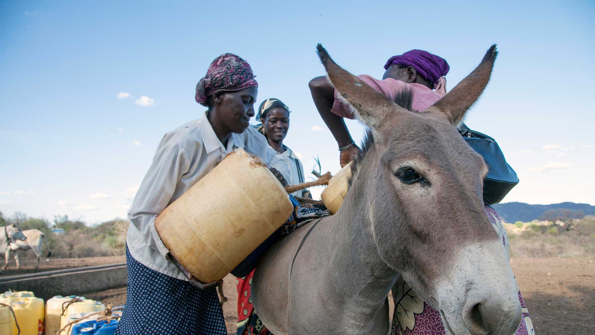 Women loading water on to donkey