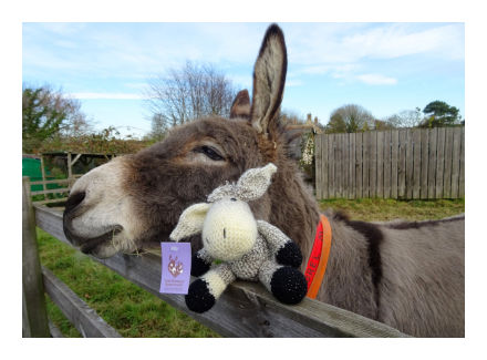 Woolley with donkey