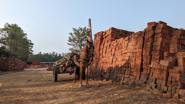 A working equine waiting for cart loading at a brick kiln in Nepal.