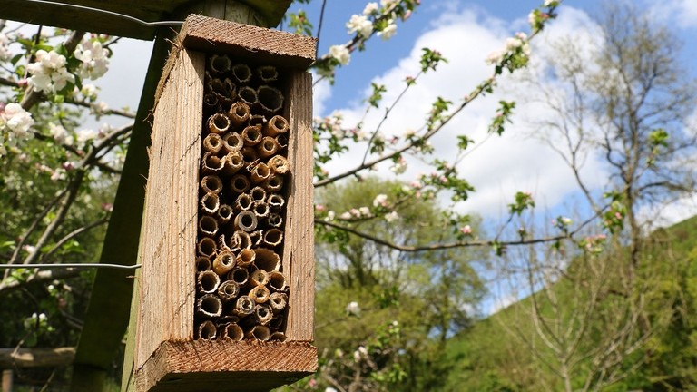 A bee hotel at The Donkey Sanctuary Sidmouth.