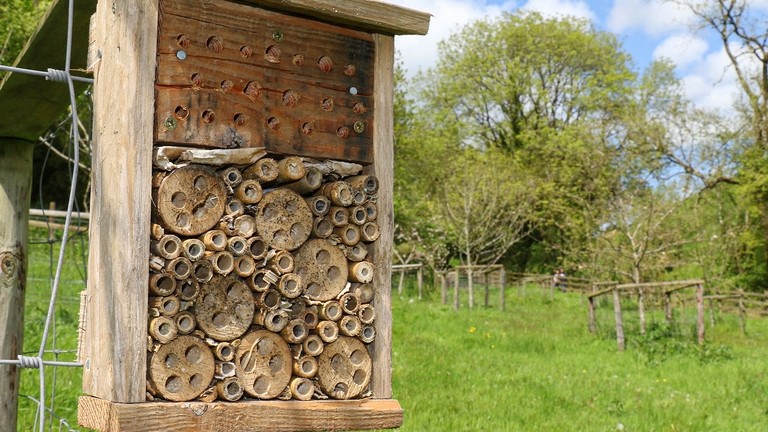 A bee hotel at The Donkey Sanctuary Sidmouth.