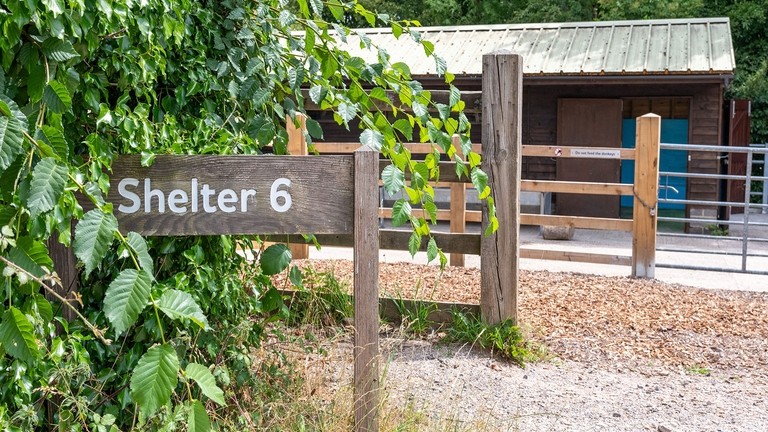 View of Shelter 6.