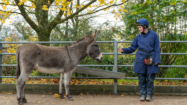 Dougie with NAU groom in Sidmouth.