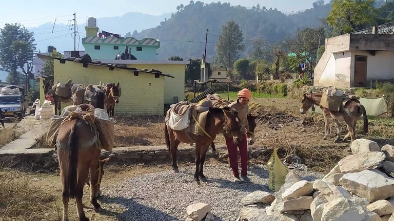 Equines supporting the local economy. Credit: Sanjeevani.