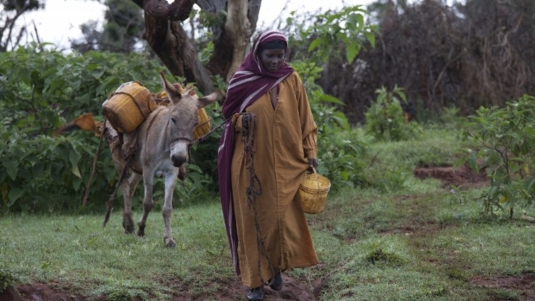 Working donkey and lady in Ethiopia.