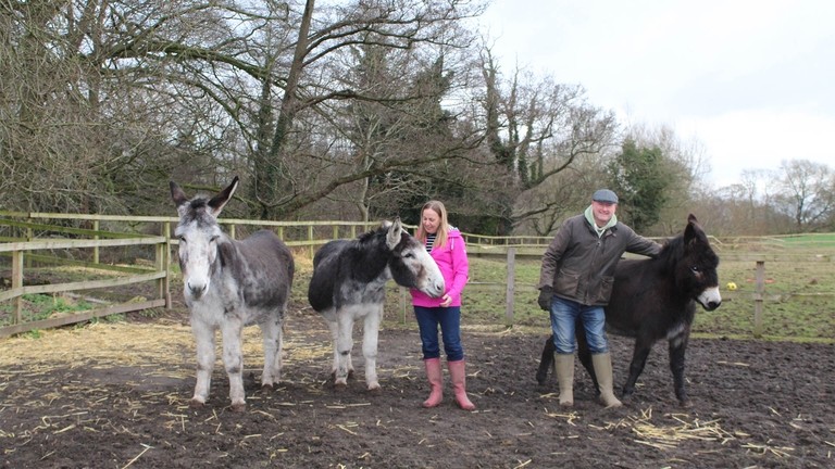 Henry and James help Gerald overcome loss.