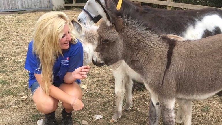 Katie Read with a young foal.