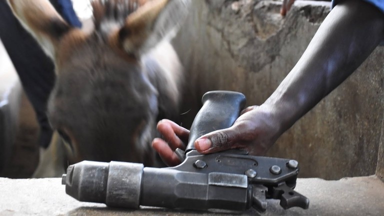 Bolt gun used at Kenyan slaughterhouse.