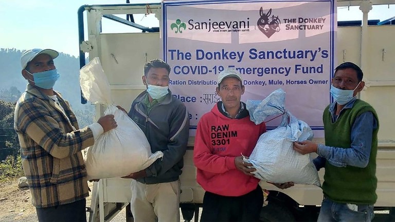 The Donkey Sanctuary ration distribution. Credit: Sanjeevani.