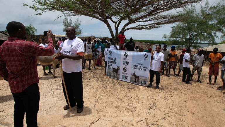 World animal day celebrations held on Manda Island, Lamu, organised by The Donkey Sanctuary Kenya.