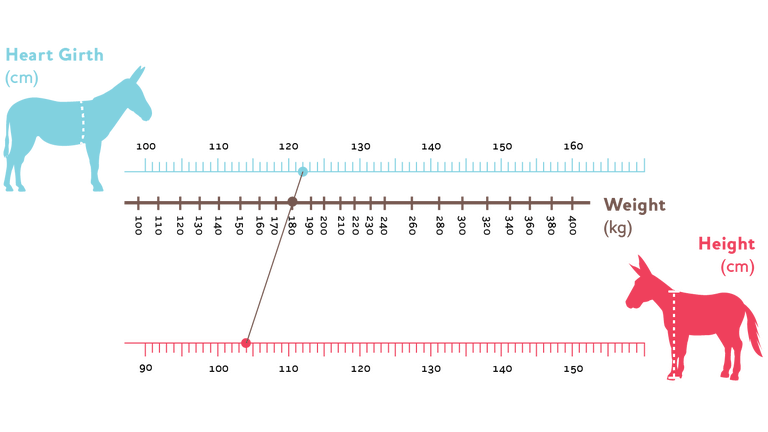 Donkey weight estimator chart.