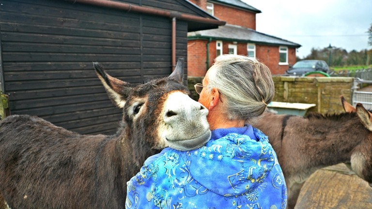 Donkey Guardian Mary Beetham