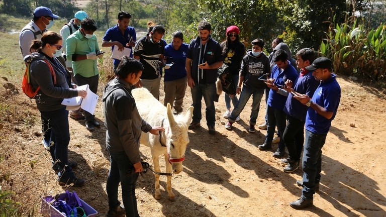EARS training in Pakistan