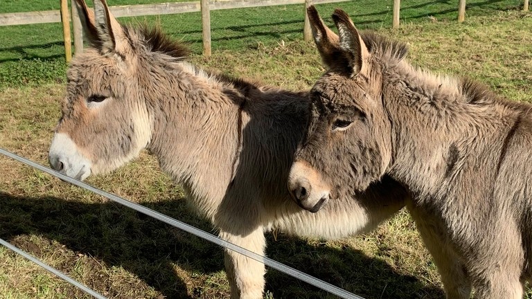 Teddy and Charles stood together at their new home