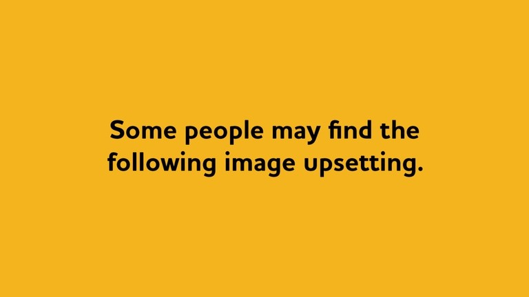 Website image warning