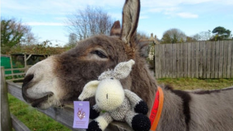 Donkey with a crochet donkey toy