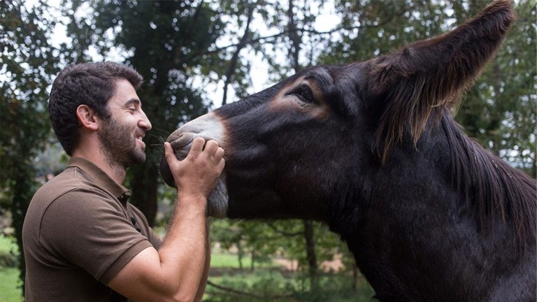 A man smiling and holding a donkey's nose