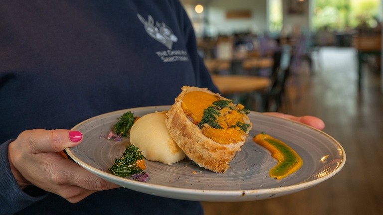 Roasted butternut squash, rosemary & chestnut wellington with wholegrain mustard sauce, pommes puree, wilted greens and rosemary oil