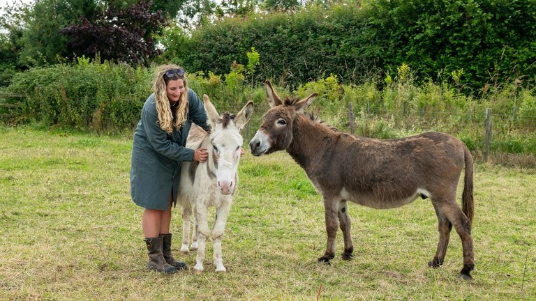A female groom holding a white donkey with a brown donkey stood next to them