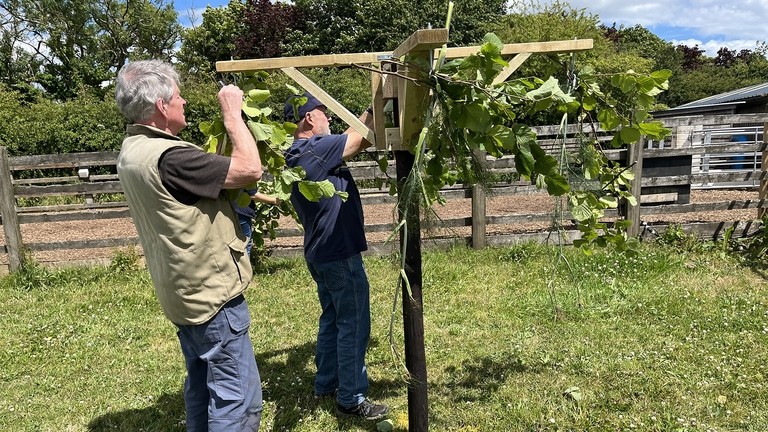 Two men adding hazel branches to a wooden Whirligig
