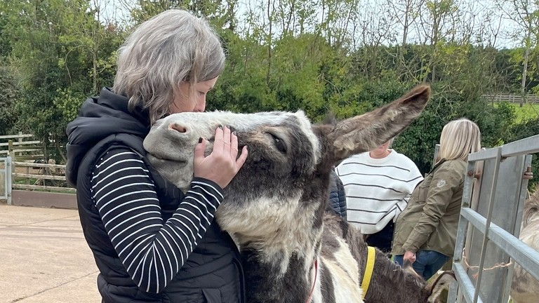 A women holding a donkeys face and it rests its head on her shoulder