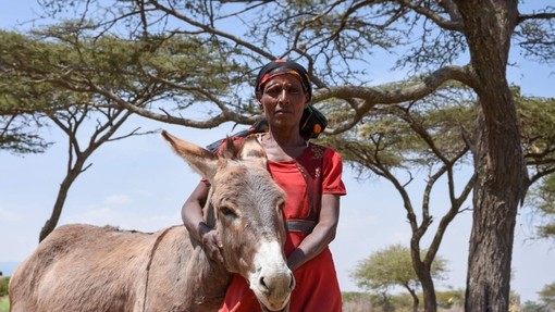 Woman with a donkey (International Women's Day)
