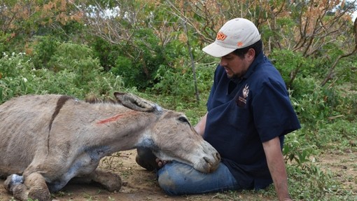 Cavalheiro resting his head on Eduardo.
