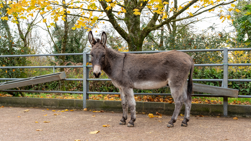 Dougie at New Arrivals Unit in Sidmouth.