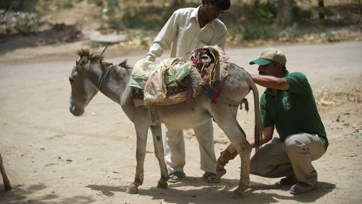 Gurgaon building site, India.