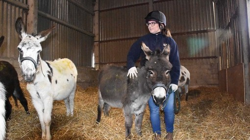 Lady and Heidi with Hannah Bryer, Head of Welfare, just after rescue.