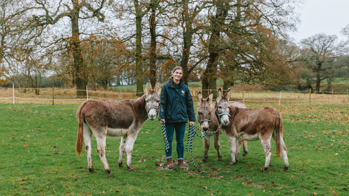 Three rescue donkeys stood in field with Donkey Welfare Adviser Hannie.