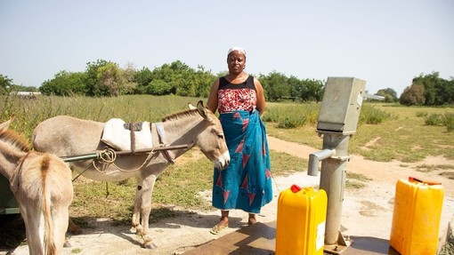 Mariama Braiamah at the borehole with donkeys.